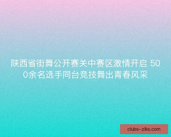 陕西省街舞公开赛关中赛区激情开启 500余名选手同台竞技舞出青春风采